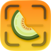 Honeydew app icon